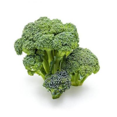 Labore Et Dolore Resum