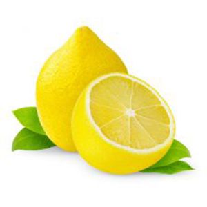 Quidem Rerum Facilis