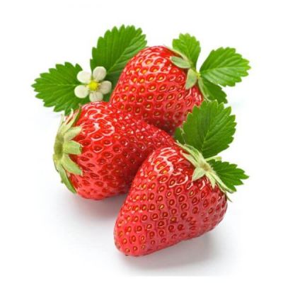 Eos Et Accusamus Et Iusto Lavato