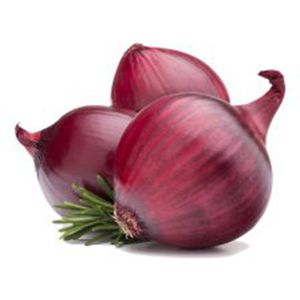 Sed Consequuntur Zacob