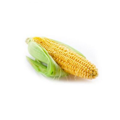 Adipisci Velit Sed Cumxa