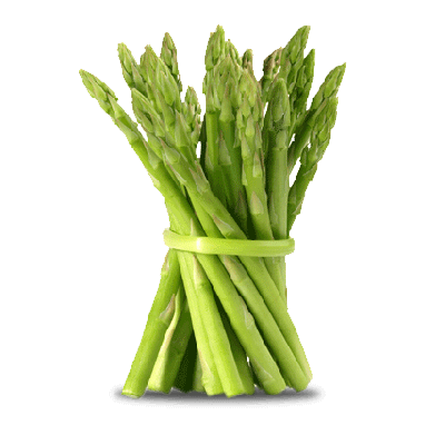 Illo Inventore Veritatis