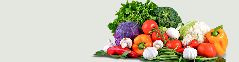 This is default alt image